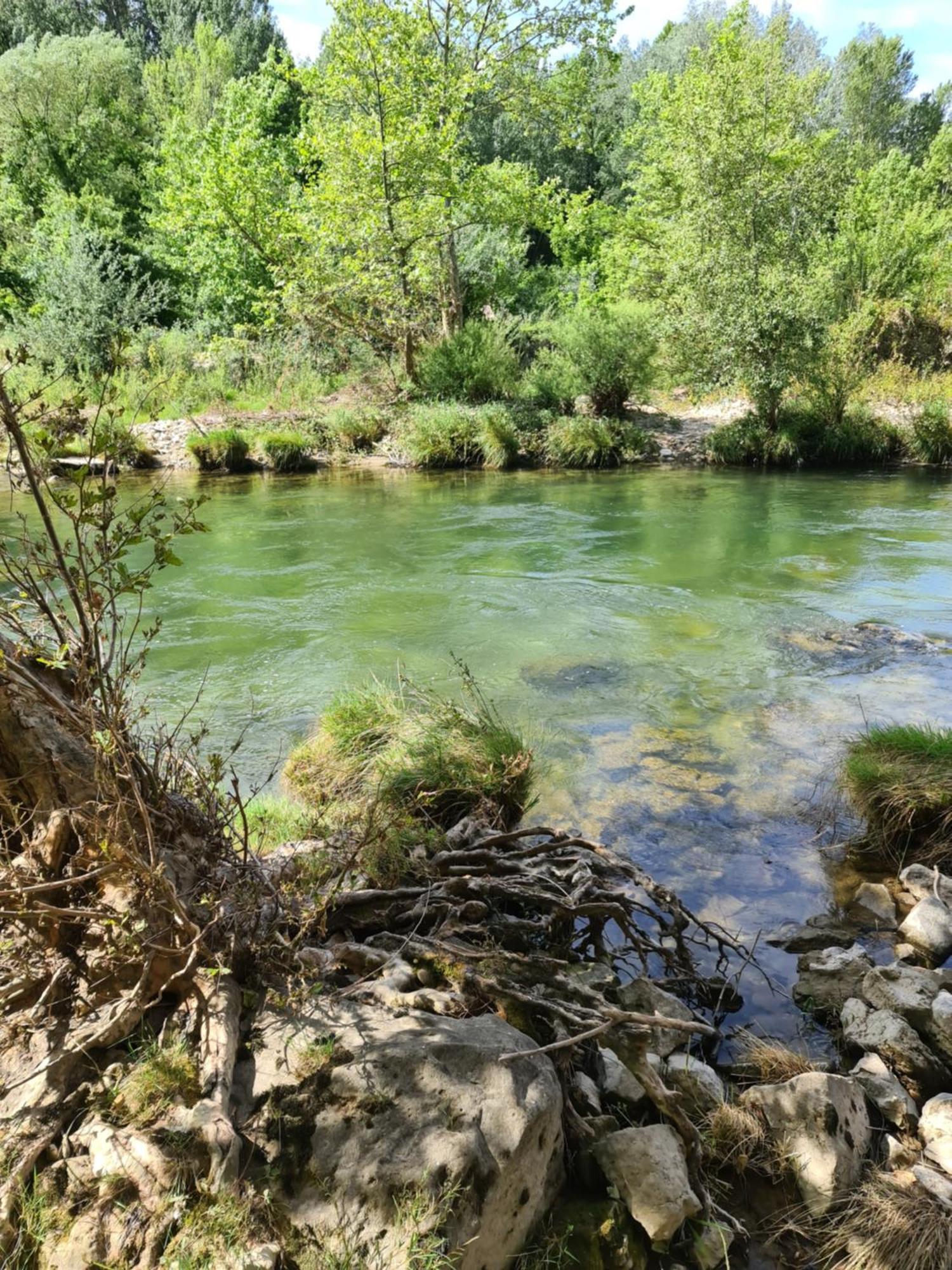 Hotel Domaine Du Moulin De Cors La Roque-sur-Cèze Zewnętrze zdjęcie